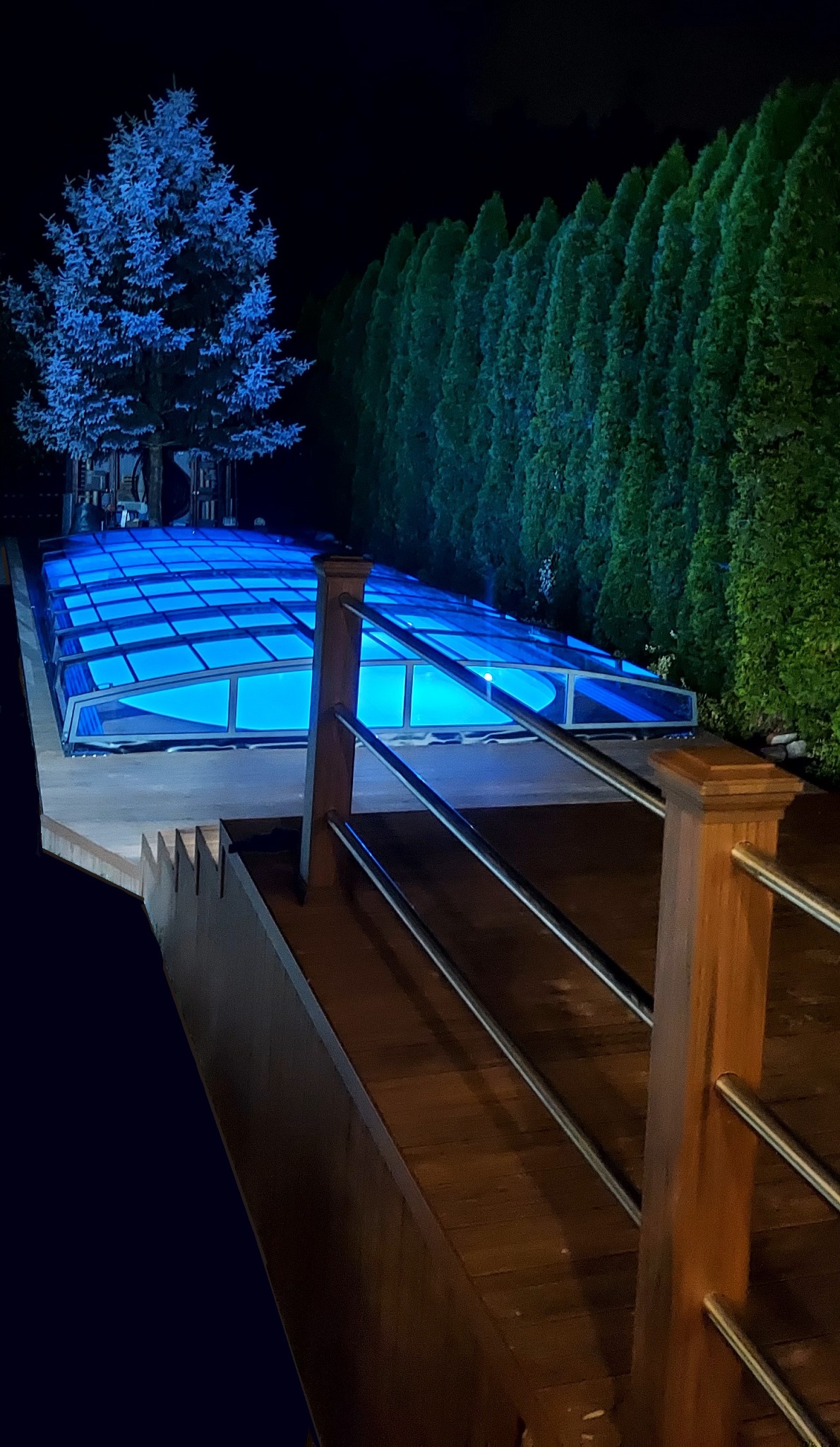 Zadaszony, oświetlony na niebiesko basen w ogrodzie, otoczony wysokimi tujami i dekoracyjnym drzewem podświetlonym na niebiesko, widok z drewnianego tarasu z balustradą.