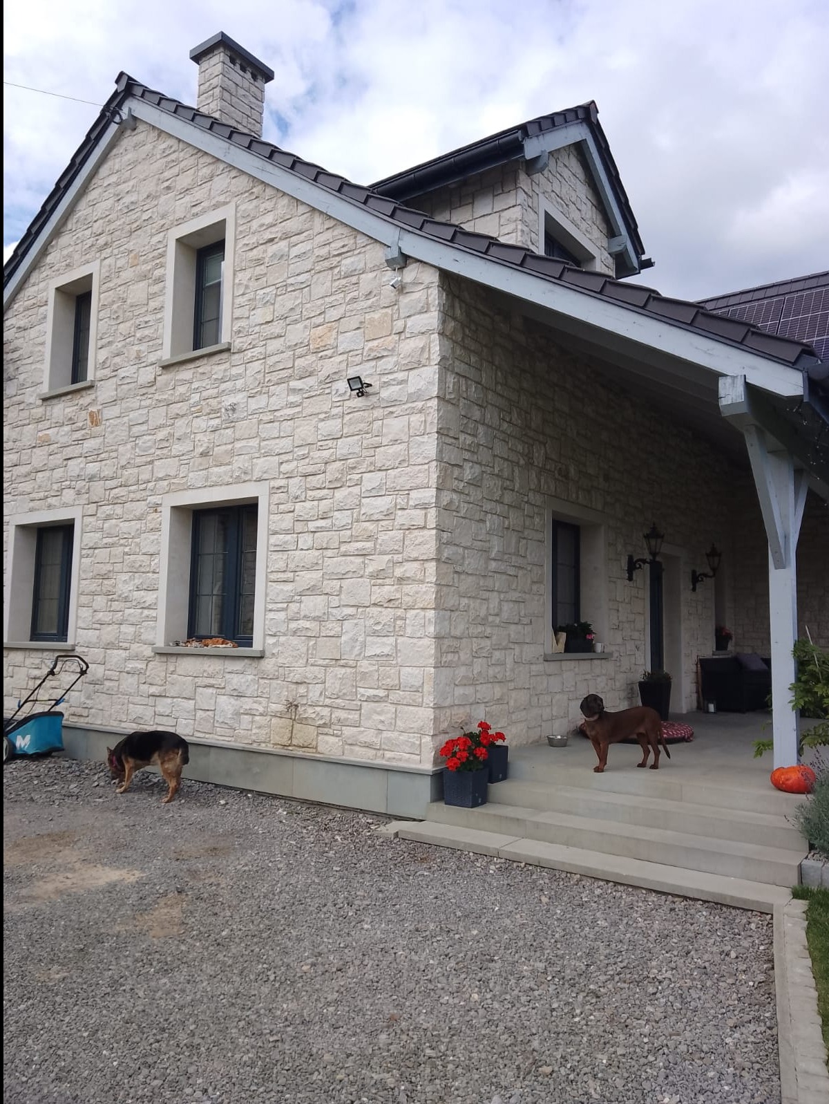 Dom z elewacją z kamienia naturalnego, zadaszony taras, dwa psy na posesji, trawnik i elementy dekoracyjne. Dom jednorodzinny w stylu klasycznym.