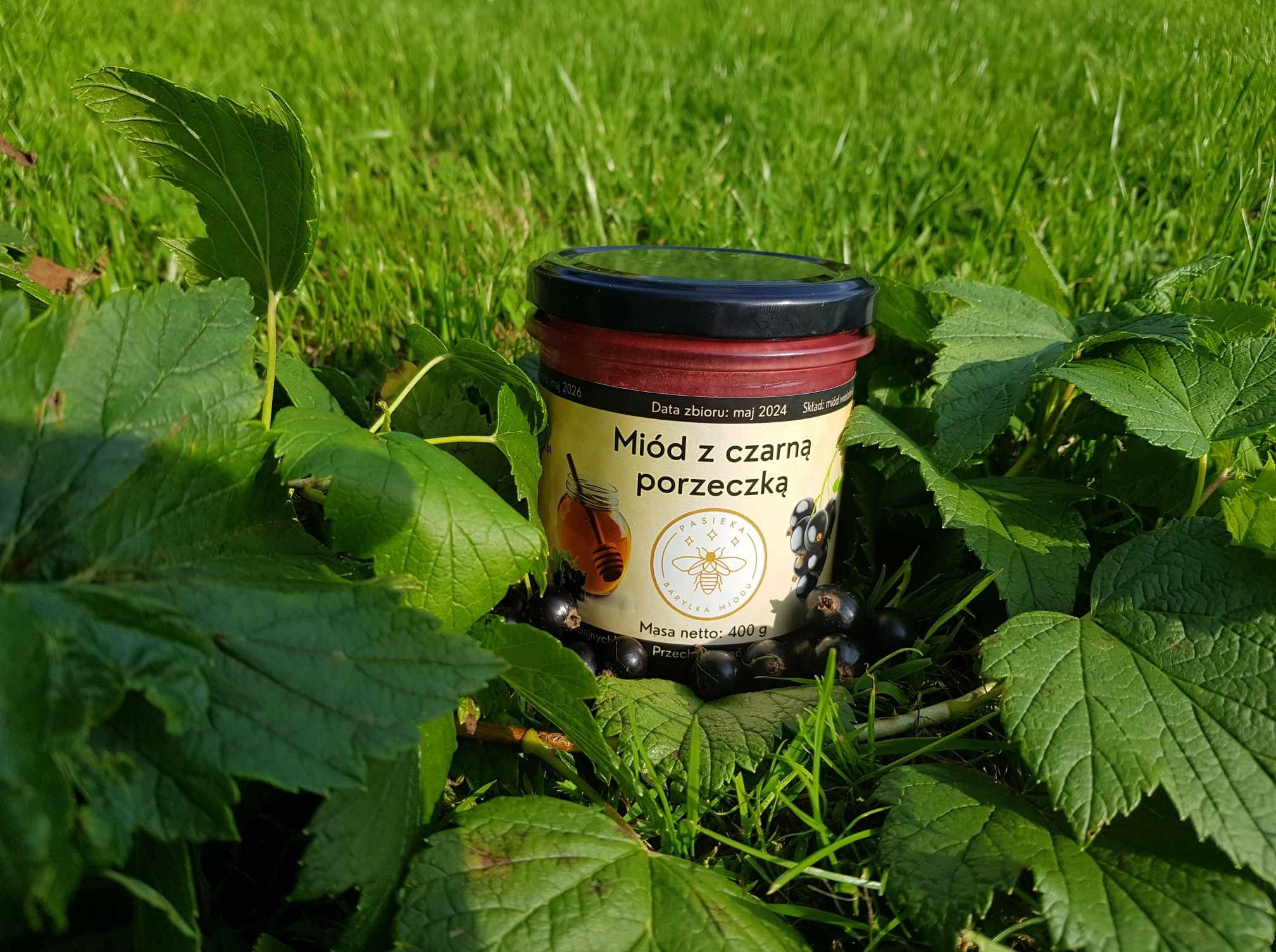 Miód kremowany z czarną porzeczką 400 gr