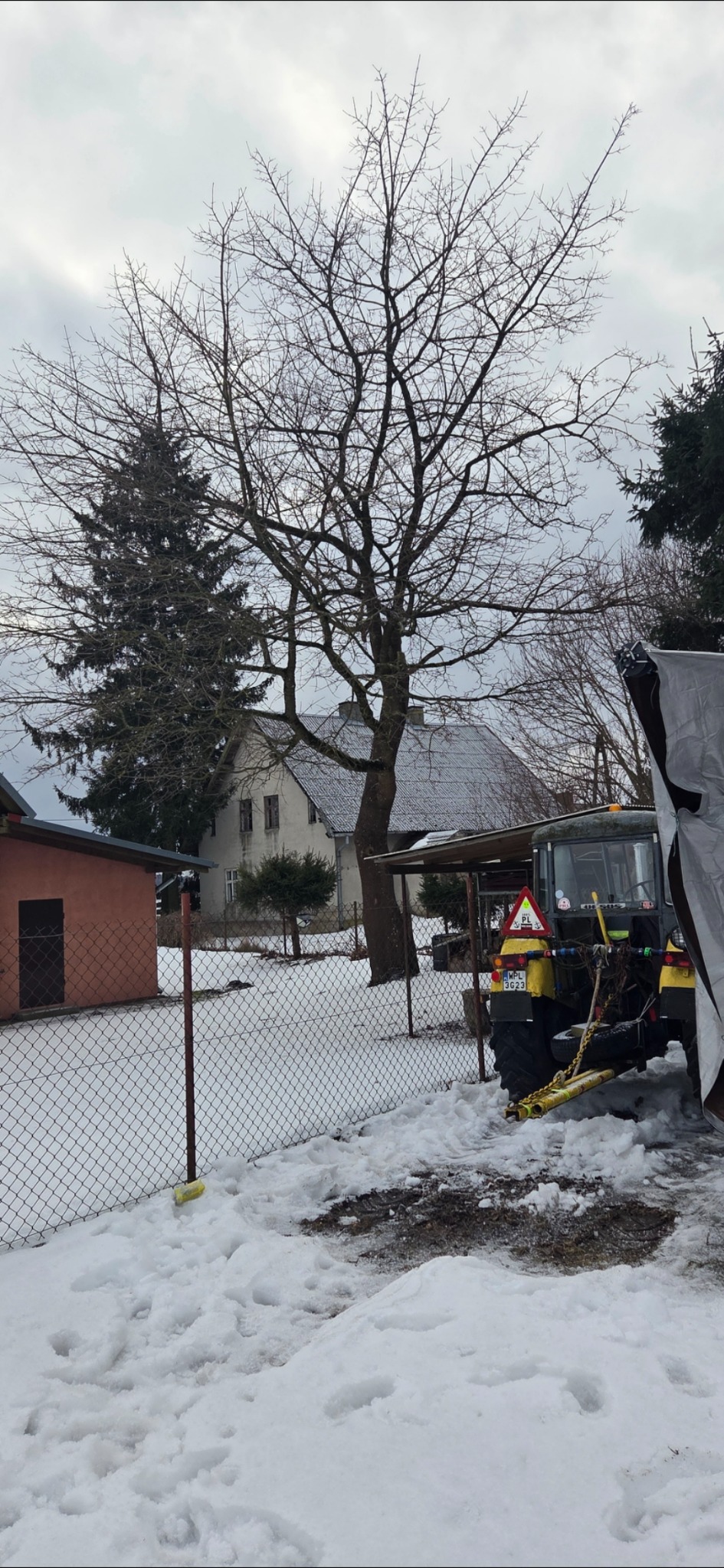 Żółty traktor z przyczepą na śniegu, za ogrodzeniem siatkowym. W tle dom, drzewa bez liści i pochmurne niebo. Zima.