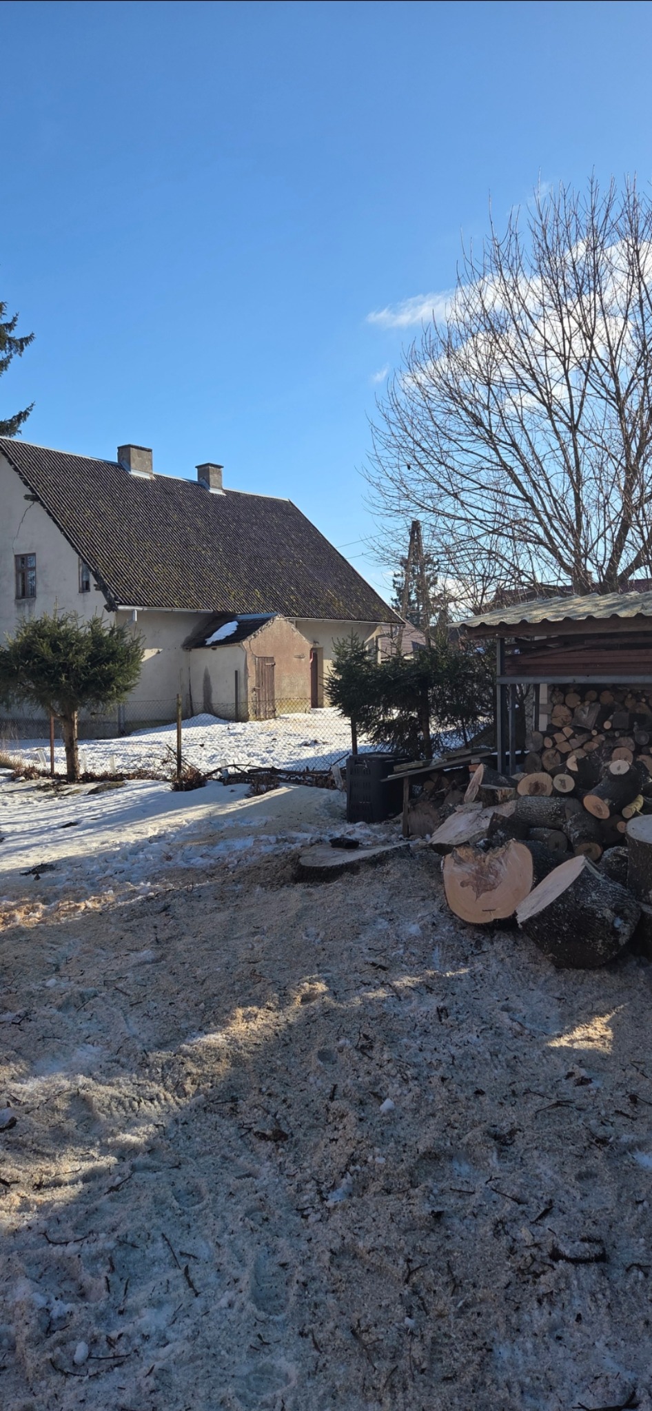 Świeżo pocięte drewno na tle ośnieżonego podwórka z budynkiem w tle. Widoczne pnie i kłody, pozostałości po wycince drzew. Słoneczny dzień.