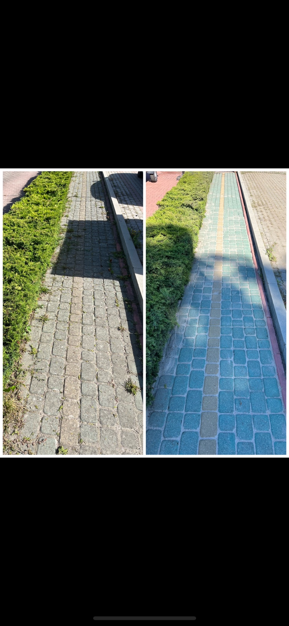 Porównanie stanu kostki brukowej przed i po czyszczeniu: po lewej stronie szara, zabrudzona kostka z chwastami, po prawej niebieska, czysta kostka z żółtym pasem pośrodku, obok zielony żywopłot.