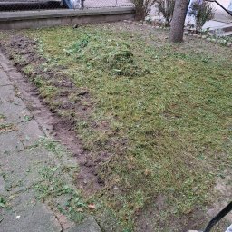 OZBUD Artur Bołoz - Świeżo skoszona trawa rozrzucona na trawniku, widoczne ślady po kosiarce, obok chodnik z betonowych płyt i częściowo widoczna łopata.