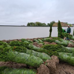 OZBUD Ogrody od A Do Z - Rewelacyjne Koszenie Trawy Nowy Sącz