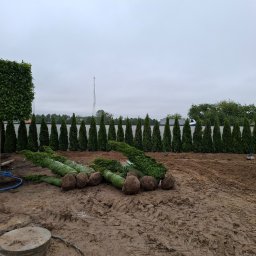 OZBUD Ogrody od A Do Z - Profesjonalne Zakładanie Trawników Nowy Sącz