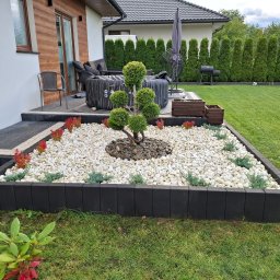 OZBUD Artur Bołoz - Ogród z ozdobnym drzewkiem formowanym, białymi kamieniami i obrzeżem z czarnej kostki. W tle trawnik, tuje i jacuzzi.