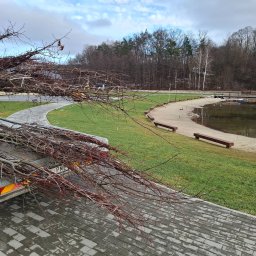 OZBUD Ogrody od A Do Z - Usługi w ogrodzie Nowy Sącz