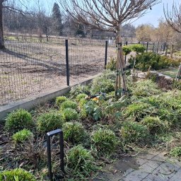 Wycinka drzew Nowy Sącz 2