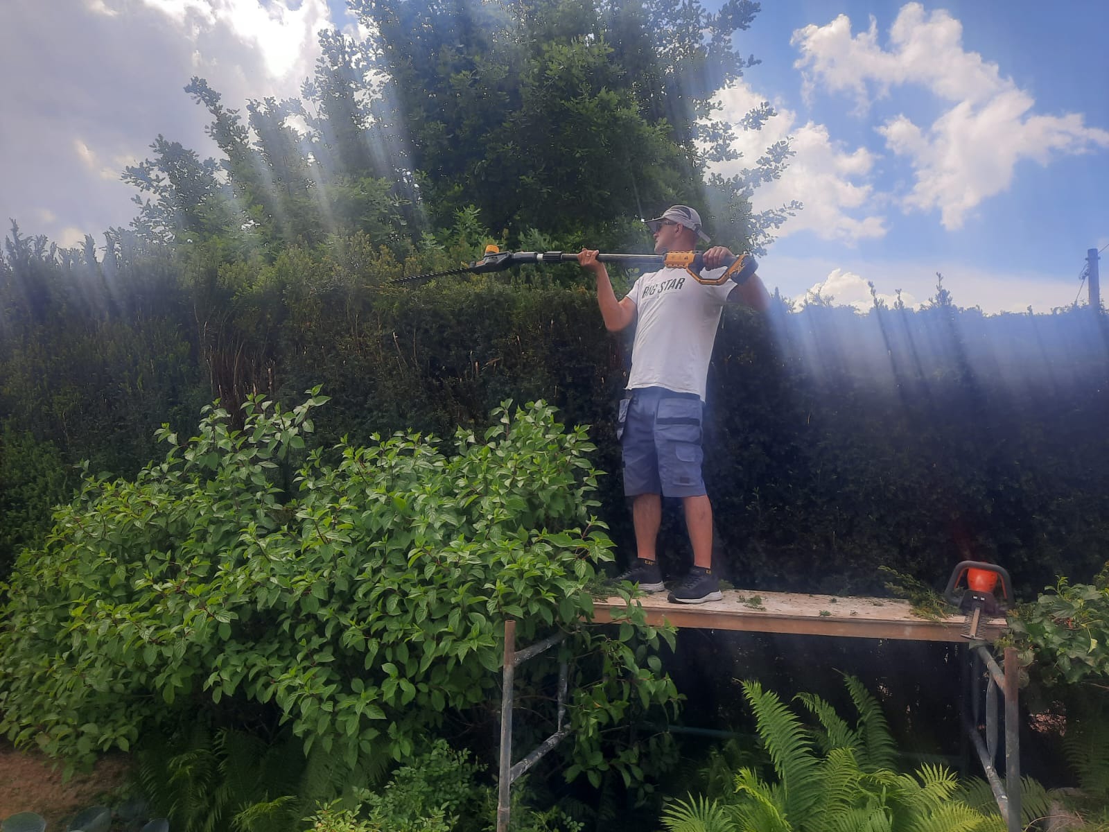 Mężczyzna na rusztowaniu przycina żywopłot elektrycznymi nożycami, z boku leży piła łańcuchowa, w tle wysokie drzewa i błękitne niebo z chmurami.