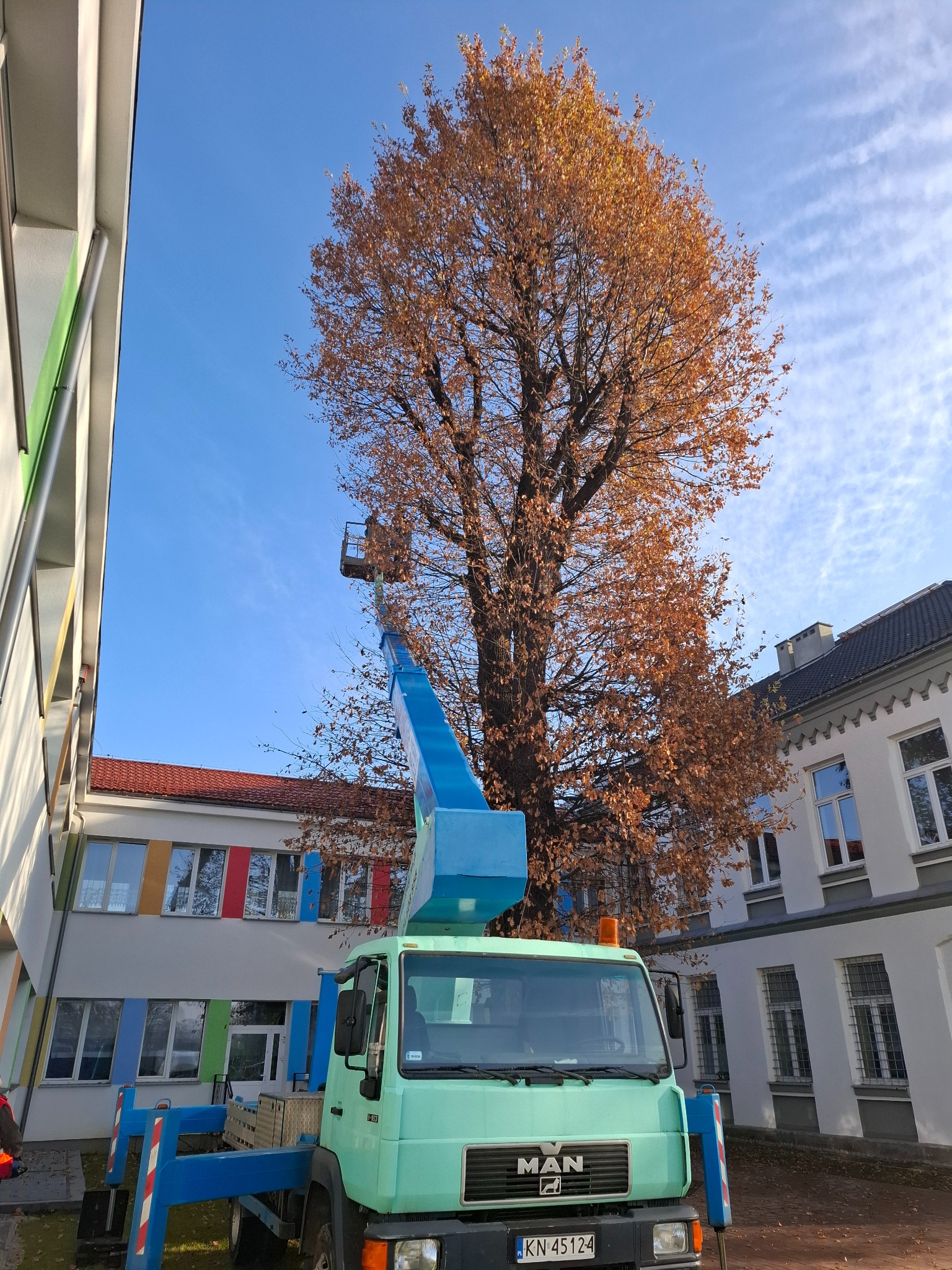 Podnośnik koszowy MAN z niebieskim wysięgnikiem na tle budynku szkolnego i wysokiego drzewa z brązowymi liśćmi, błękitne niebo z delikatnymi chmurami w tle.