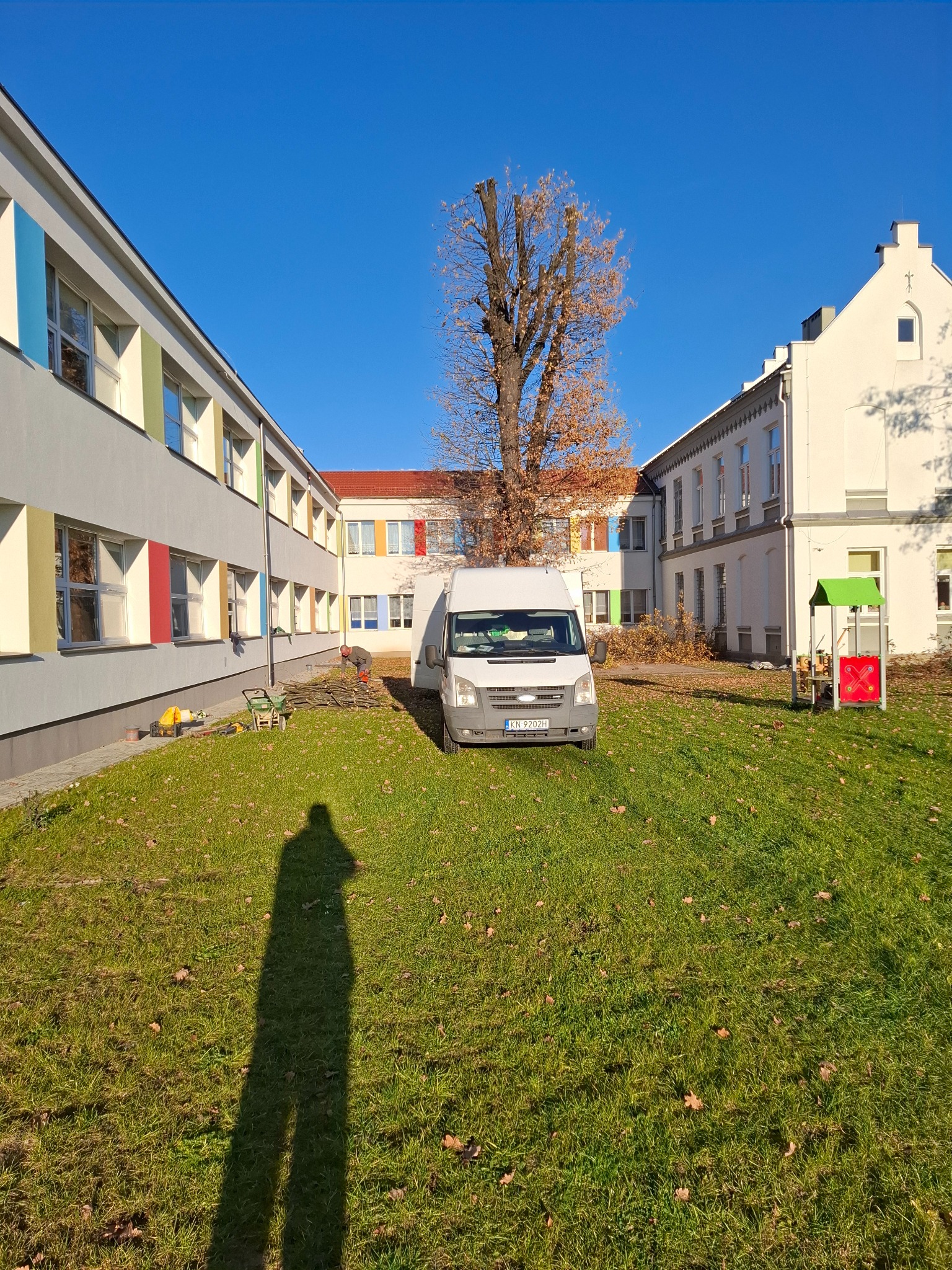 Pracownik w trakcie przycinania gałęzi drzewa na terenie zielonym przed budynkiem, z widocznym samochodem dostawczym i stertą pociętych gałęzi.