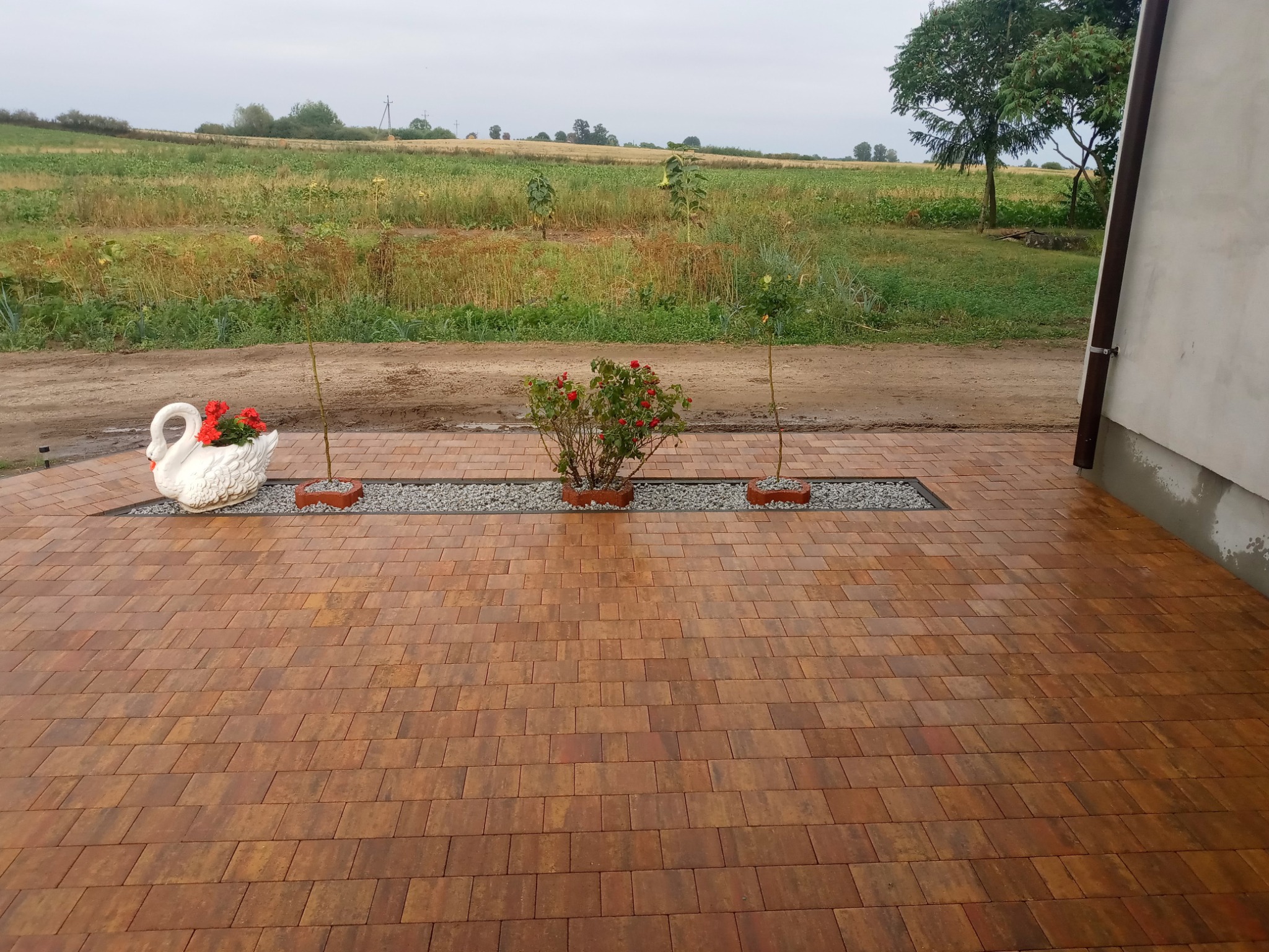 Ułożona kostka brukowa w odcieniach brązu z ozdobnymi elementami: donica w kształcie łabędzia z czerwonymi kwiatami, krzew róży i młode drzewka w donicach oddzielone pasem żwiru, na tle łąki.