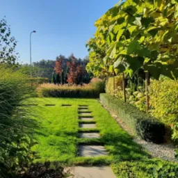 Starannie zaprojektowany ogród z trawnikiem, ścieżką z płyt, ozdobnymi trawami i formowanymi krzewami, oświetlony słonecznym światłem.
