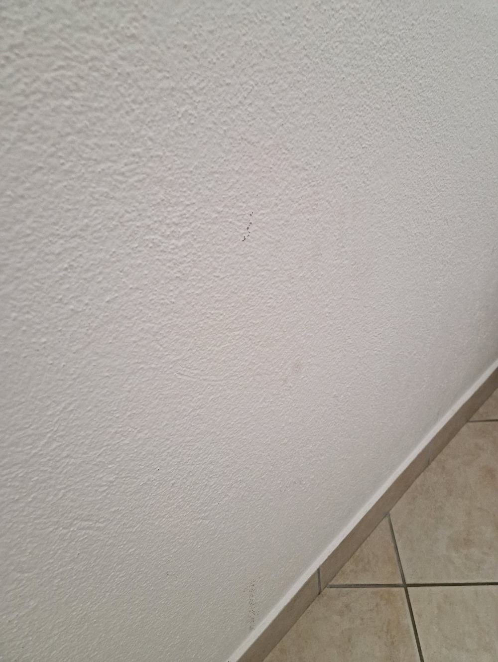 Fragment ściany z drobną, nierówną strukturą pomalowanej powierzchni, widoczne drobne zabrudzenia i styk z podłogą wyłożoną płytkami.