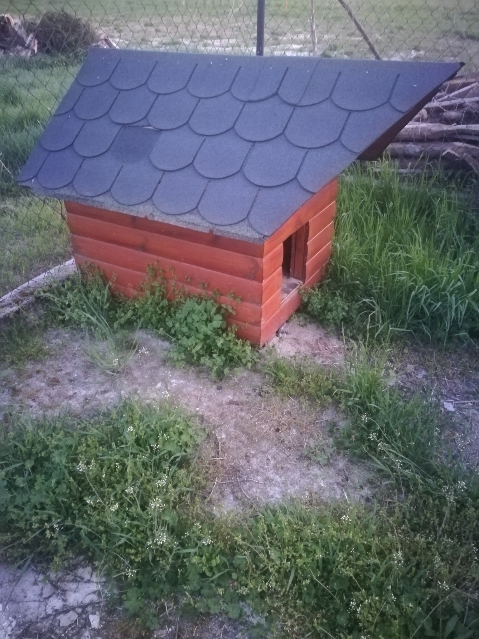 Mała, czerwona buda z ciemnoszarym dachem krytym gontem bitumicznym, otoczona zielenią i trawą.