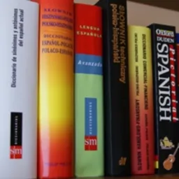 HISZPAŃSKI DLA BIZNESU - tłumaczenia przez Internet PL-ES, ES-PL