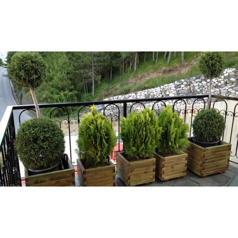 Rząd pięciu roślin w drewnianych donicach na balkonie z czarną, kutą balustradą, z widokiem na zalesione wzgórze i kamienny murek.