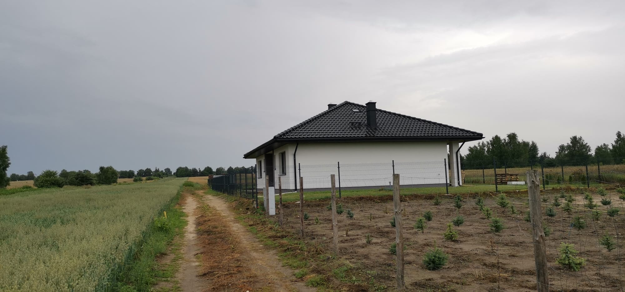Biały dom jednorodzinny z czarnym dachem, otoczony polem i młodymi drzewkami, ogrodzony siatką. Widok z boku, pochmurne niebo.