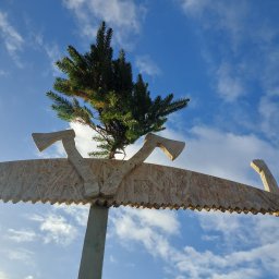 R.M ciesielstwo dekarstwo - Przebudowa Dachu Murowana Goślina