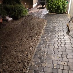 Seba - Ułożona, mokra kostka brukowa w odcieniach szarości przylegająca do świeżo przekopanej ziemi, z widocznymi roślinami i taczką w tle.