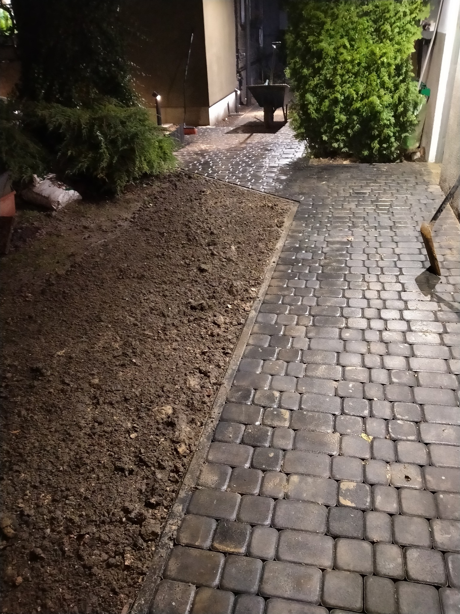 Ułożona, mokra kostka brukowa w odcieniach szarości przylegająca do świeżo przekopanej ziemi, z widocznymi roślinami i taczką w tle.