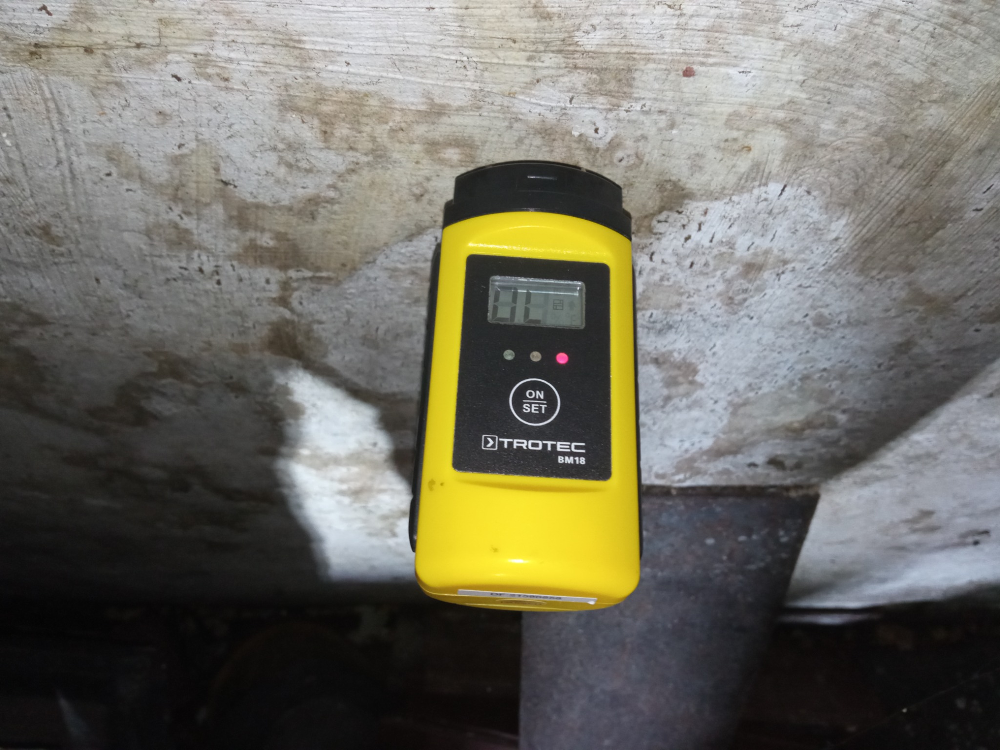 Żółty wilgotnościomierz Trotec BM18, z włączonym wyświetlaczem, przyłożony do szarej, nierównej powierzchni, prawdopodobnie ściany lub stropu w piwnicy.