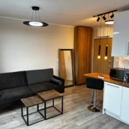 Wnętrze kawalerki z aneksem kuchennym: ciemnoszara sofa, drewniane stoliki kawowe, wysoki taboret barowy, białe szafki kuchenne z marmurowym backsplash, drewniana szafa, lustro w czarnej ramie...