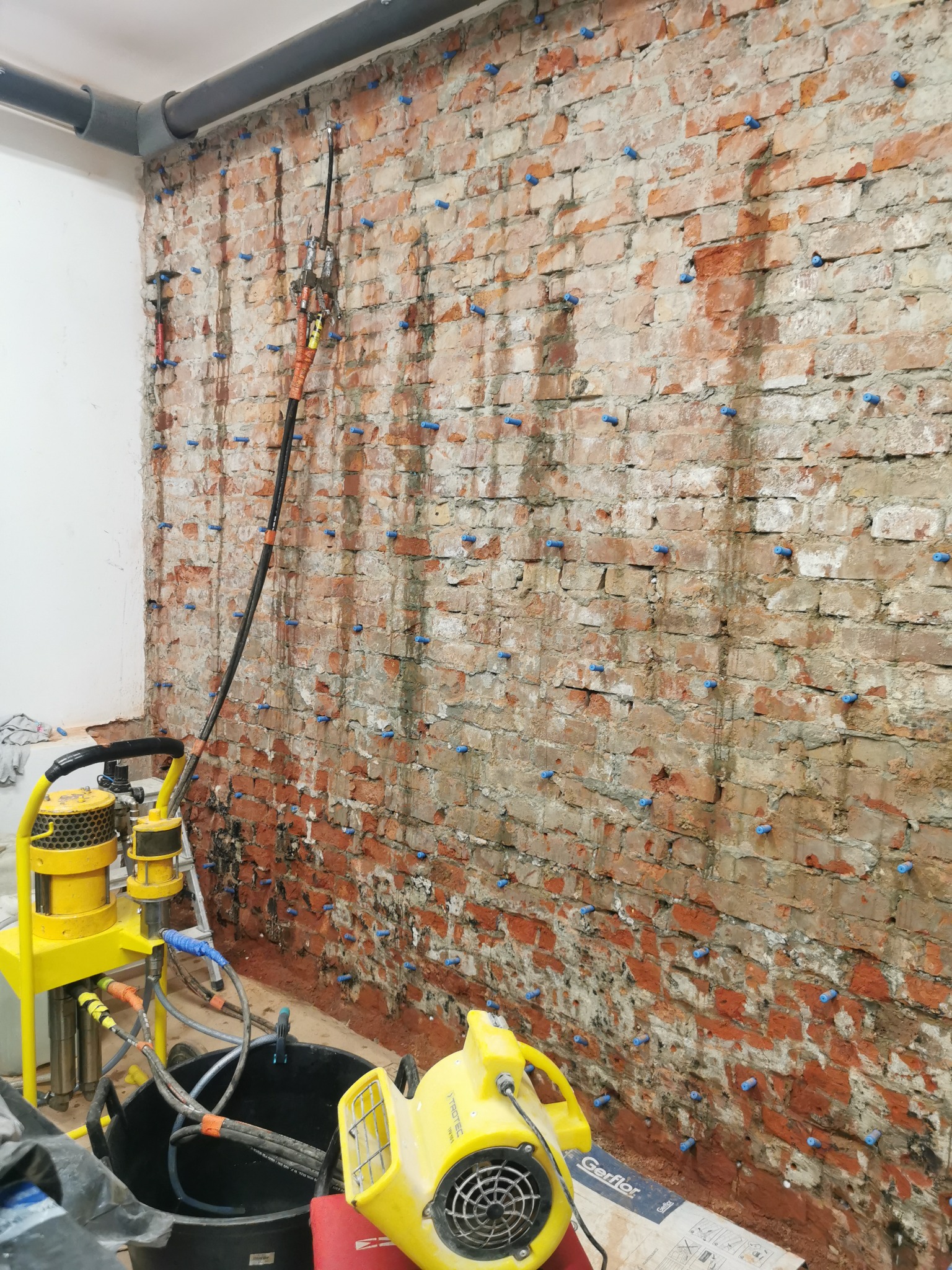 Ceglana ściana z widocznymi śladami wilgoci i licznymi niebieskimi kołkami, obok żółte urządzenie do iniekcji oraz wiadro i wentylator.
