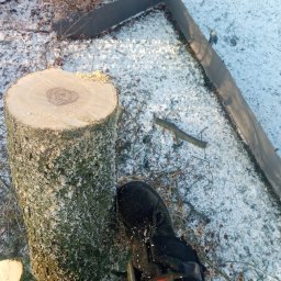 Paweł Wieczorkowski - Rewelacyjne Wycinki w Tczewie