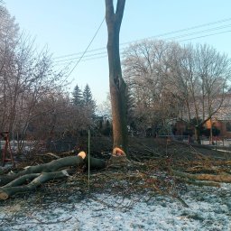 Paweł Wieczorkowski - Przed domem Kwidzyn