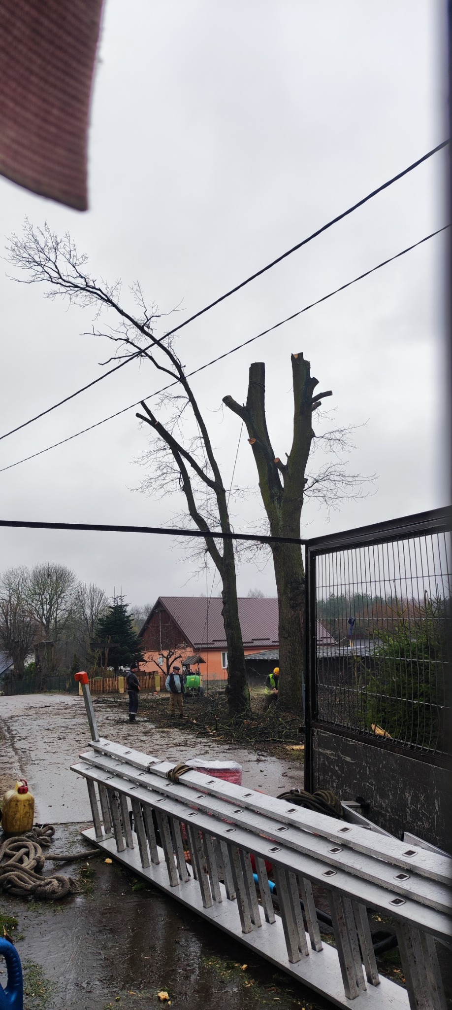 Ekipa przycina drzewo w pobliżu domu, widoczne ścięte konary, drabina oparta o płot i pracownicy w kamizelkach odblaskowych na tle pochmurnego nieba.