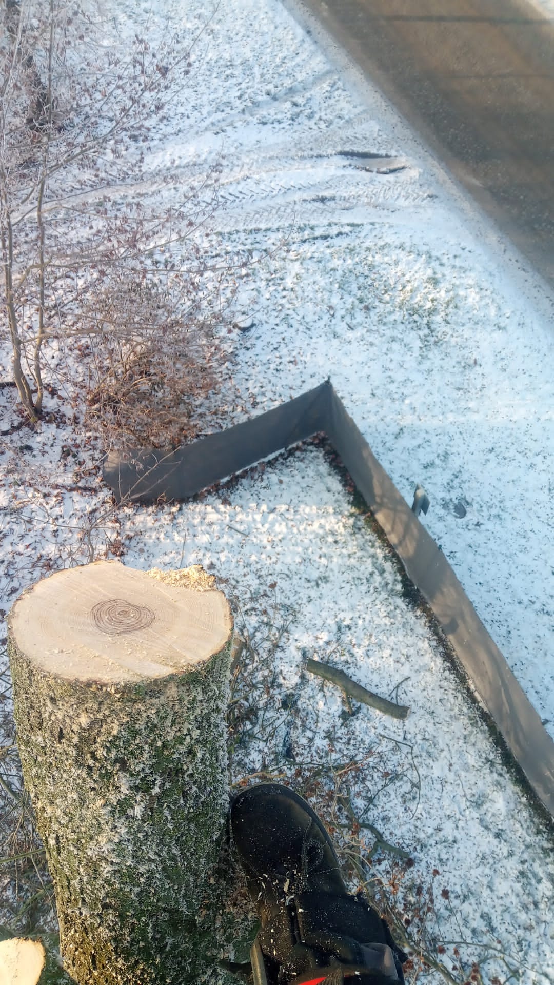 Ścięty pień drzewa w zimowej scenerii, widok z góry. Obok fragment buta pracownika i zabezpieczenie terenu. Śnieg pokrywa ziemię, widoczne ślady opon.
