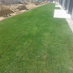 Mateusz Mateusz - Wynajem Minikoparki Kościerzyna