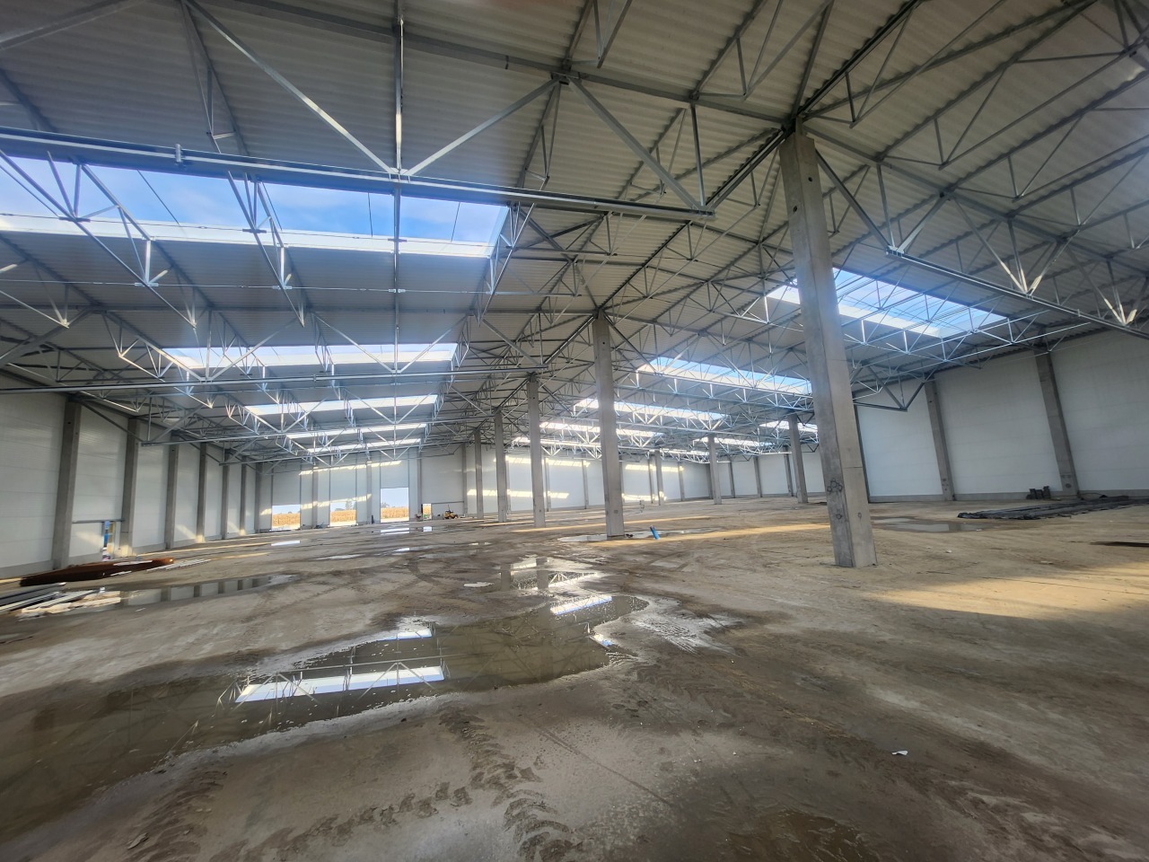 Wnętrze hali magazynowej w trakcie budowy: betonowa posadzka z kałużami, stalowa konstrukcja dachu z świetlikami, betonowe słupy. Widok z poziomu posadzki.