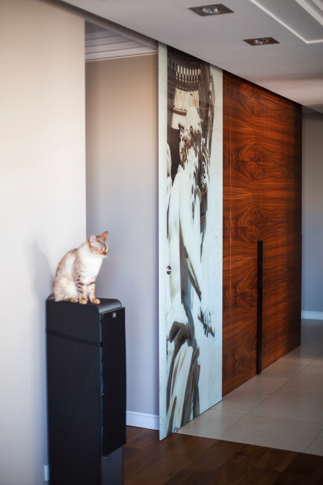 drzwi przesuwne z wydrukiem na systemie przesuwnym