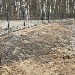 BS BudSerwis - Działka z nowo posadzonymi drzewkami, zabezpieczonymi słomą, w tle siatka ogrodzeniowa i rząd brzóz.