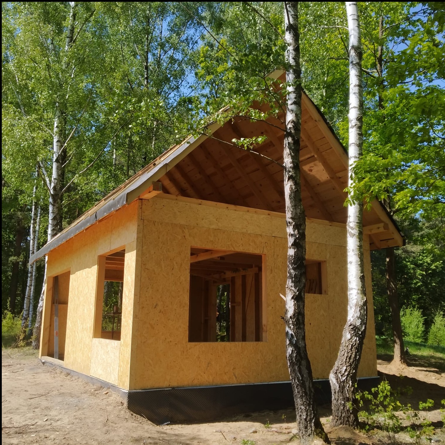 Surowa konstrukcja domu z płyt OSB w lesie, widoczne otwory okienne i drzwiowe, drewniany szkielet dachu, z zewnątrz drzewa, w tle zieleń.
