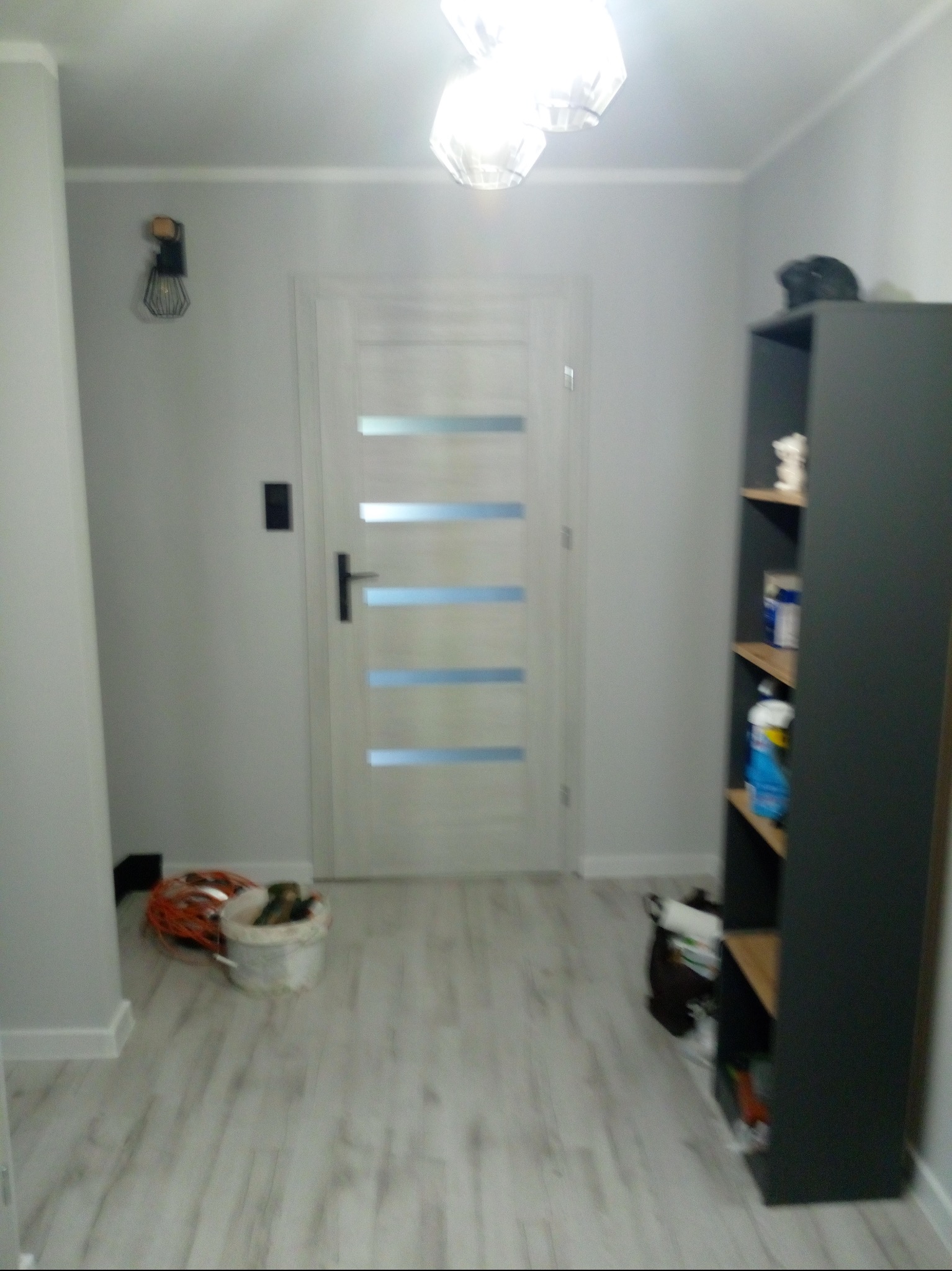 Całkowity remont korytarza. Szpachlowanie malowanie montaż drzwi położenie paneli i listew.