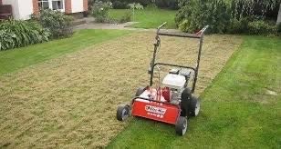 Wertykulator spalinowy na trawniku po wertykulacji, widoczne resztki usuniętego filcu i mchu, dom i zieleń w tle.