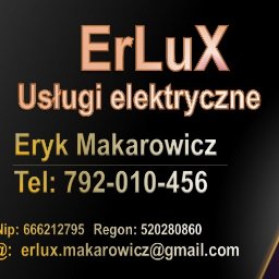 Eryk Makarowicz ErLuX usługi elektryczne - Alarmy Ślesin