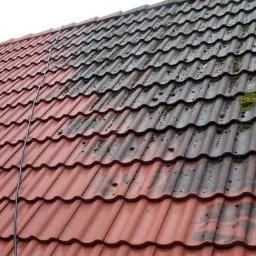Grzegorz Gańczak - Częściowo wyczyszczony dach z czerwonej dachówki, widoczna różnica między czystą a zabrudzoną powierzchnią. Mech na brudnej części. Ujęcie z góry.