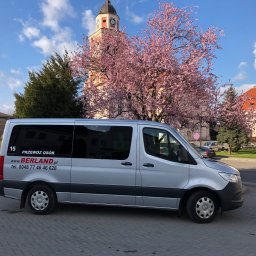 Przewóz osób Domecko 1