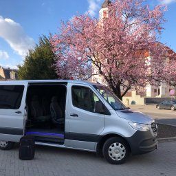 Przewóz osób Domecko 2