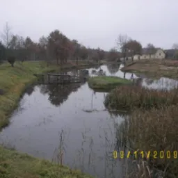 Jesienny krajobraz z rzeką, małym mostkiem i budynkami w tle, uchwycony w pochmurny dzień.