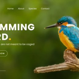 Grafik komputerowy Pruszków 2