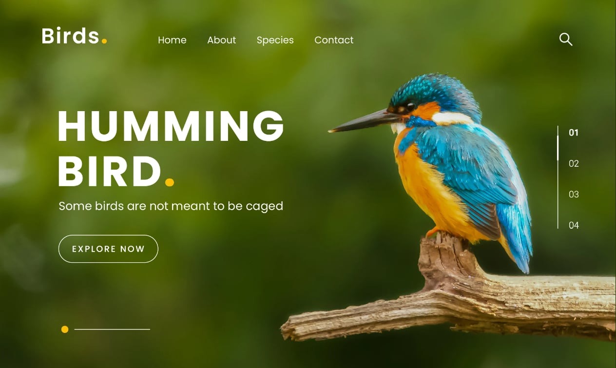 Strona internetowa z wizerunkiem zimorodka na gałęzi, hasłem 'Humming Bird' i przyciskiem 'Explore Now' na rozmytym zielonym tle.