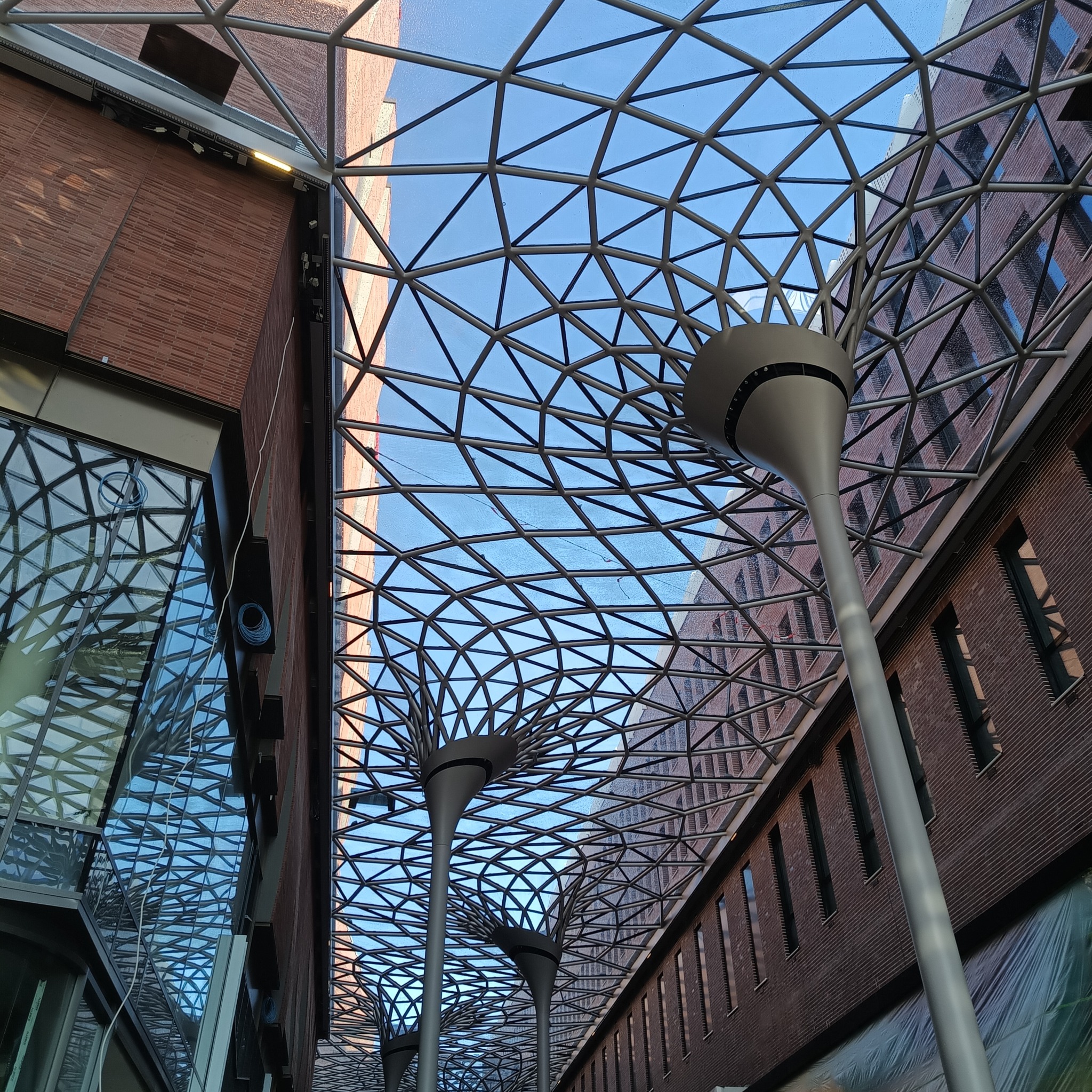 Metalowa konstrukcja szkieletowa z oświetleniem w kształcie drzewa pod szklanym dachem, widok na budynki z cegły.