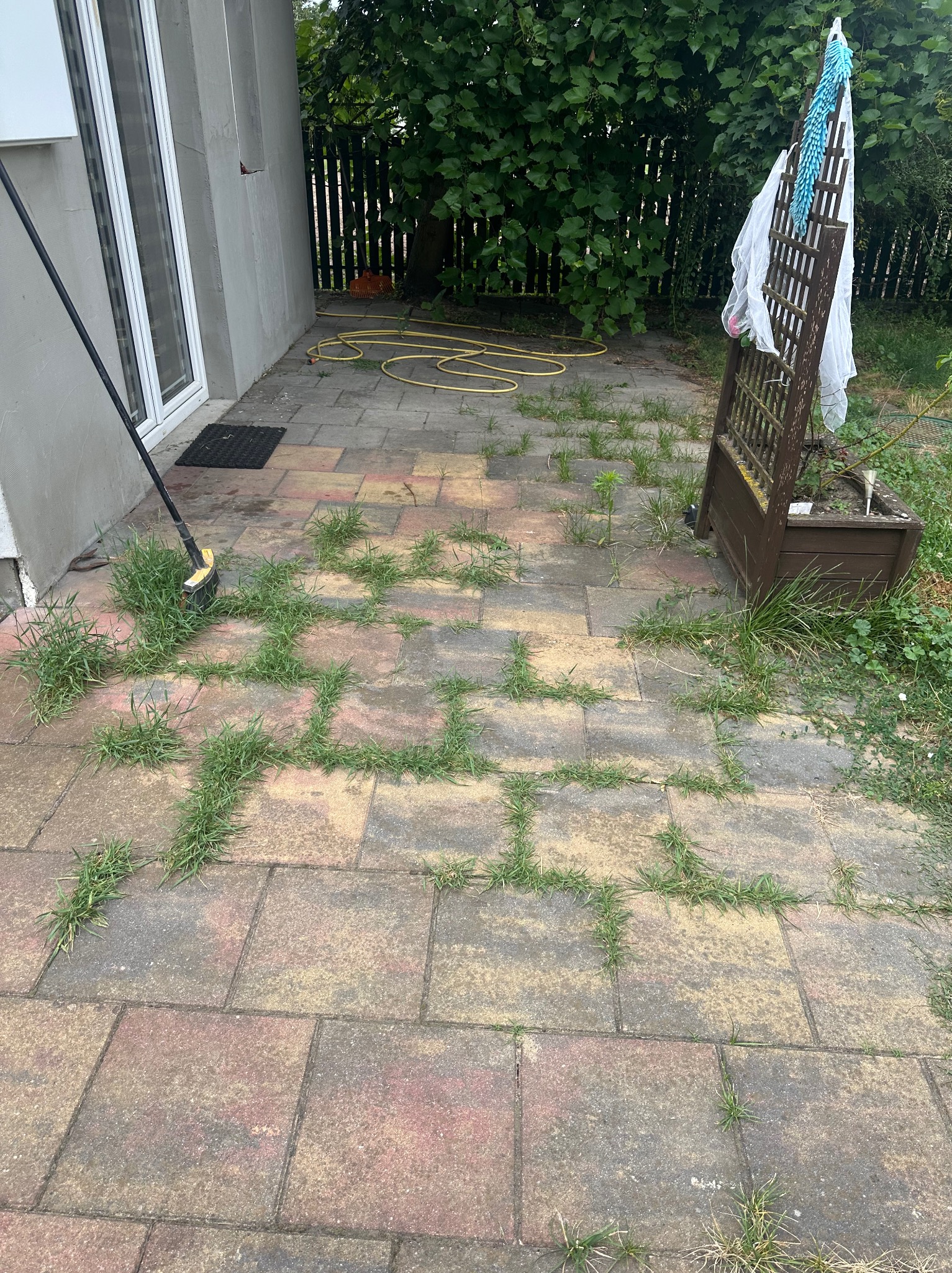 Zarośnięta kostka brukowa z chwastami, częściowo oczyszczona, z widoczną szczotką do zamiatania przy ścianie budynku, w tle zieleń ogrodu i żółty wąż ogrodowy.