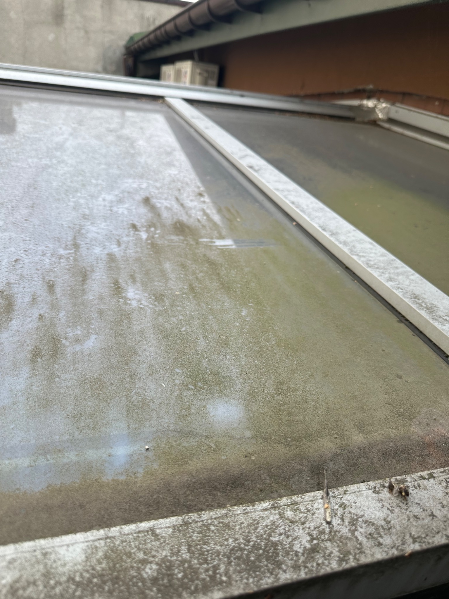 Silnie zabrudzona, szara powierzchnia z widocznymi śladami pleśni i osadów, prawdopodobnie fragment dachu lub okna dachowego przed czyszczeniem, z widocznymi elementami konstrukcyjnymi...