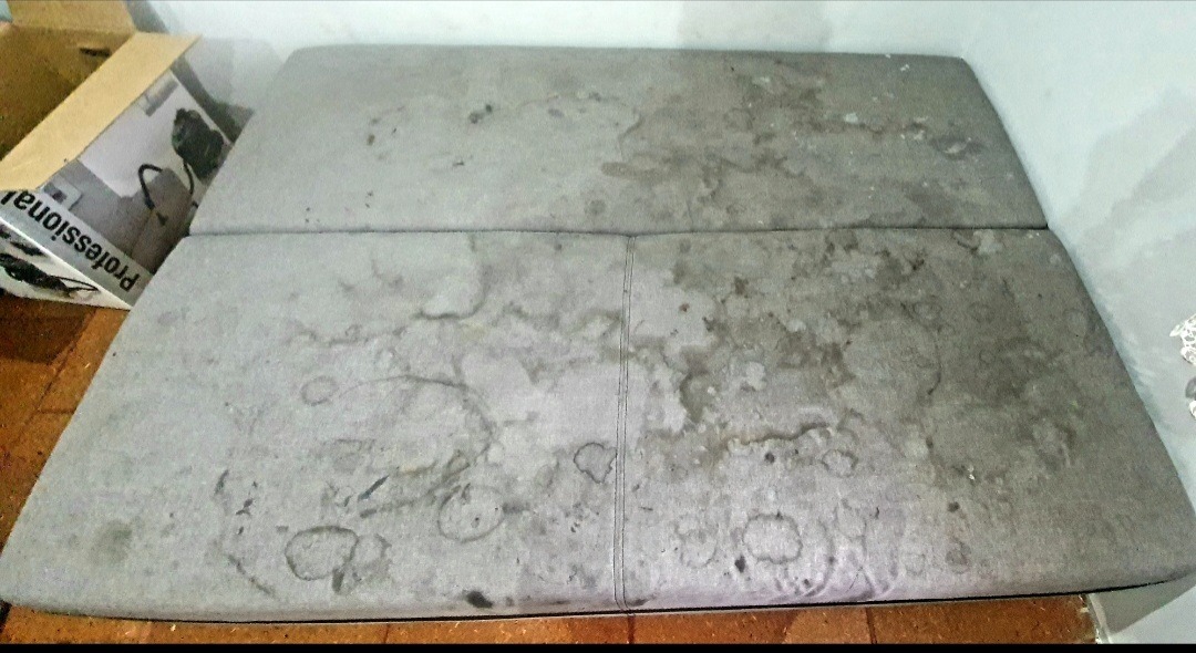 Widok z góry na mocno zabrudzoną szarą kanapę dwuosobową przed praniem, obok widoczny karton z napisem 'Professional'.